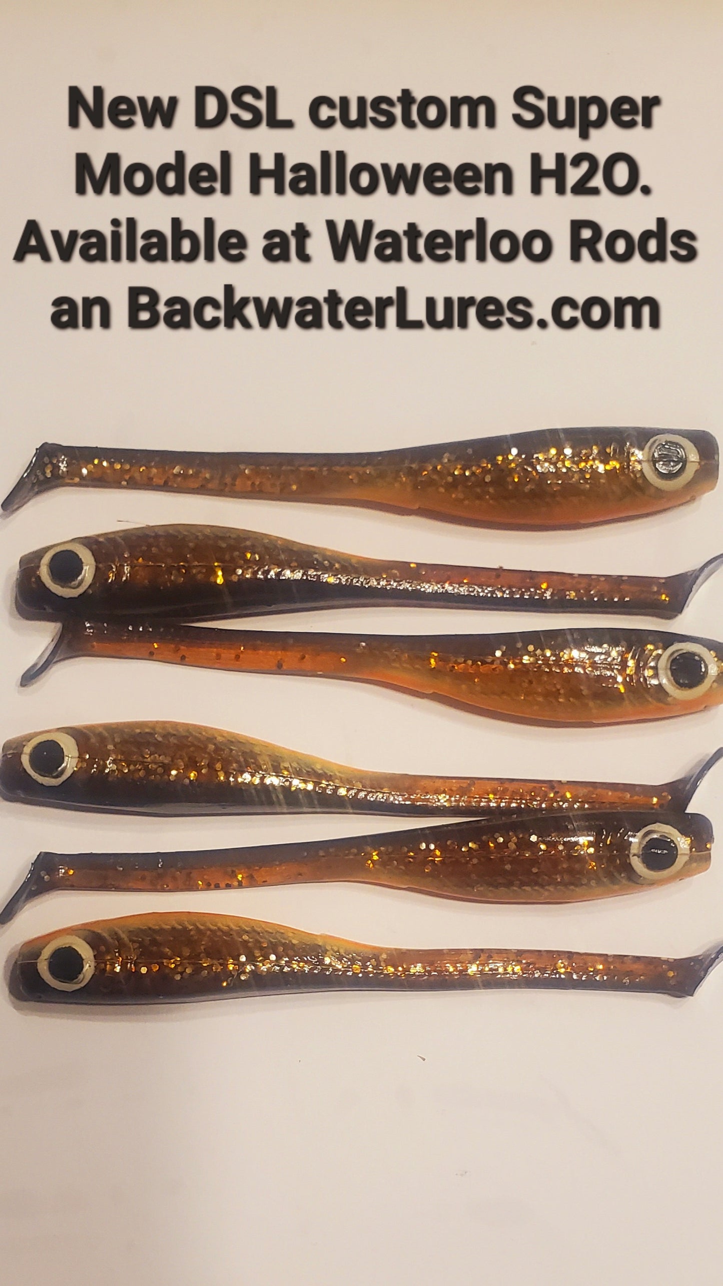 Custom D.S.L Halloween H20